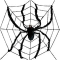 Large Spider Web & Spider - 2.4m