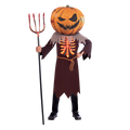 Scary Pumpkin Big Head - Child Costume